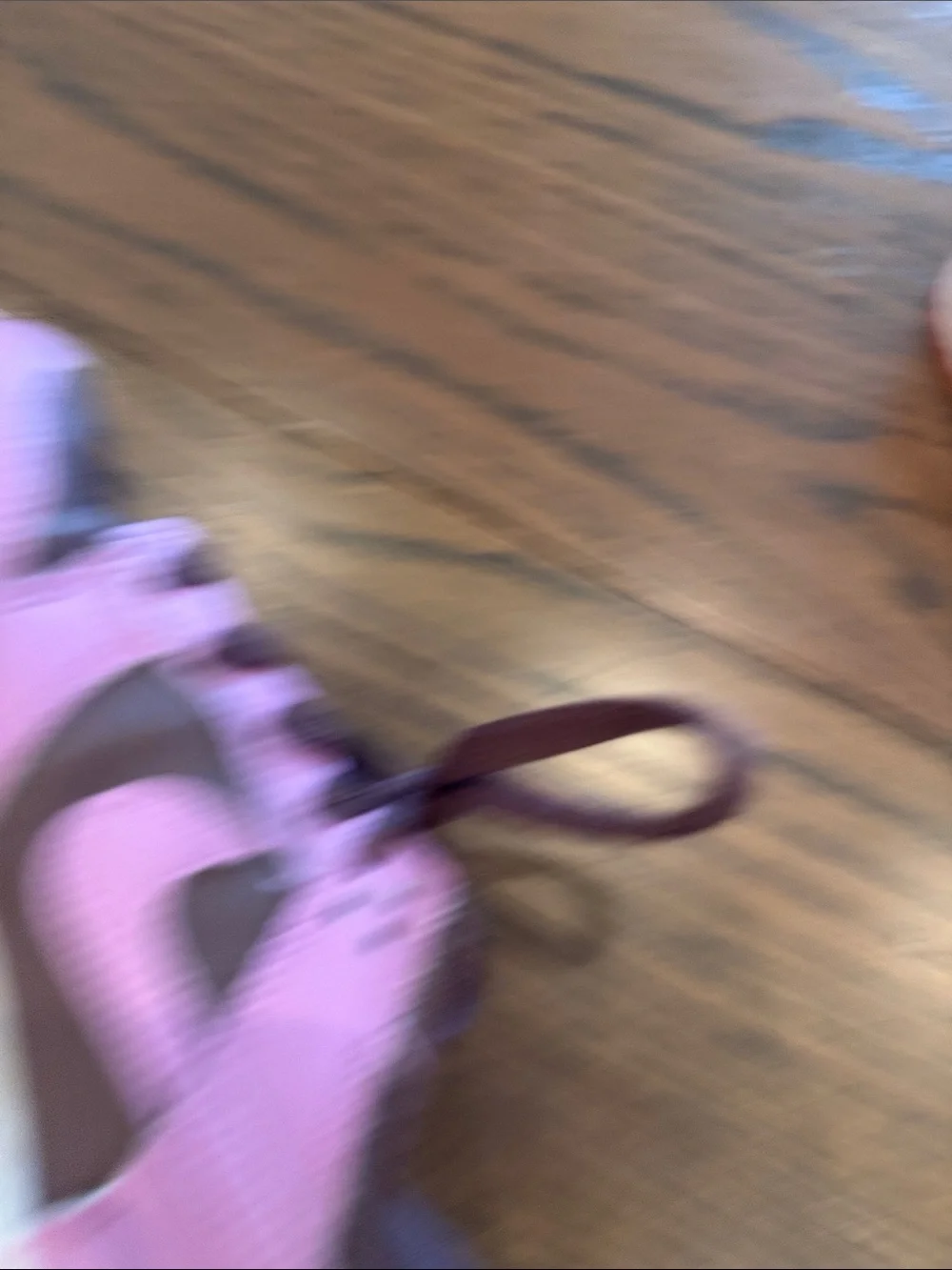 Nike Dunks Kids Two-Tone Pink/purple and Brown Low-Top Sneakers